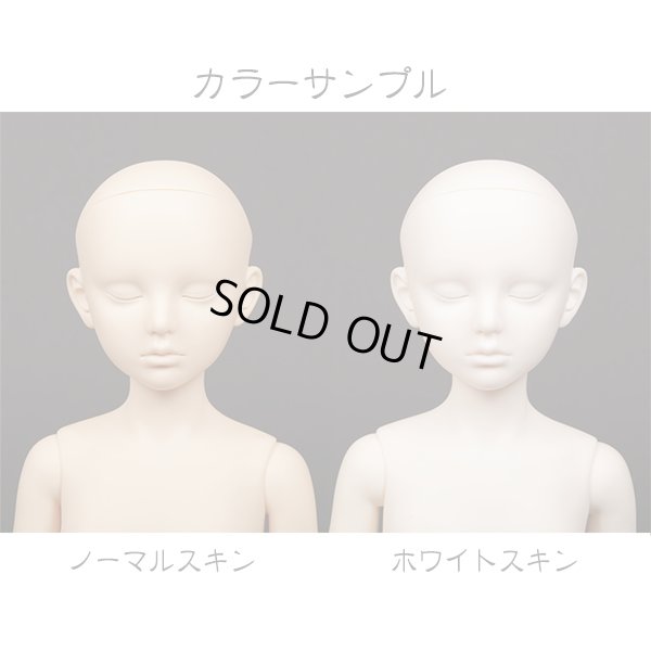 画像4: ダリル/アイルドールミニ（キット）