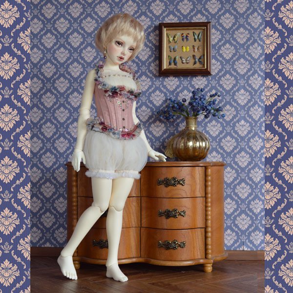 画像11: ジェイン/アイルドール（組立済）