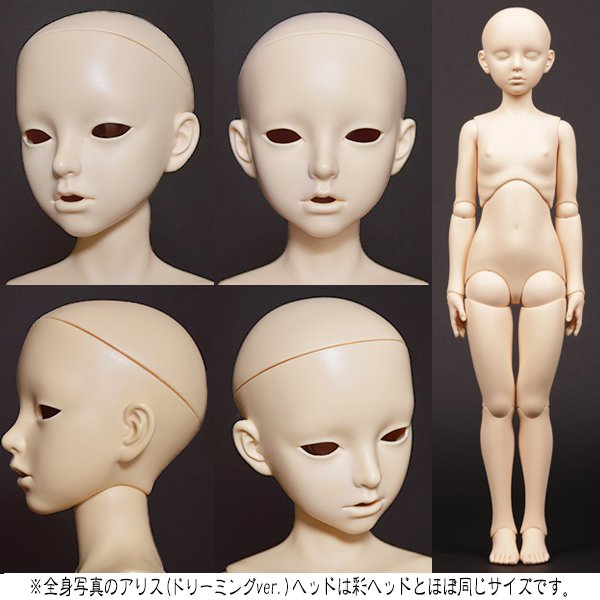 画像14: 彩/アイルドール（組立済）